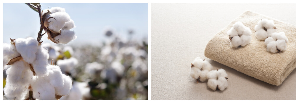 Качество хлопка из Узбекистана